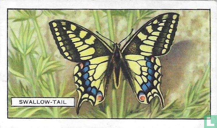 Swallow-Tail