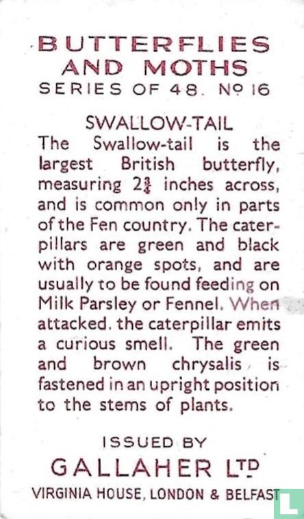 Swallow-Tail