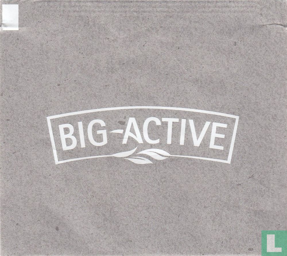 Big-Active