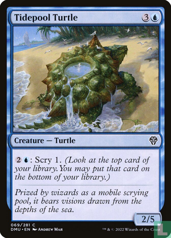 Tidepool Turtle