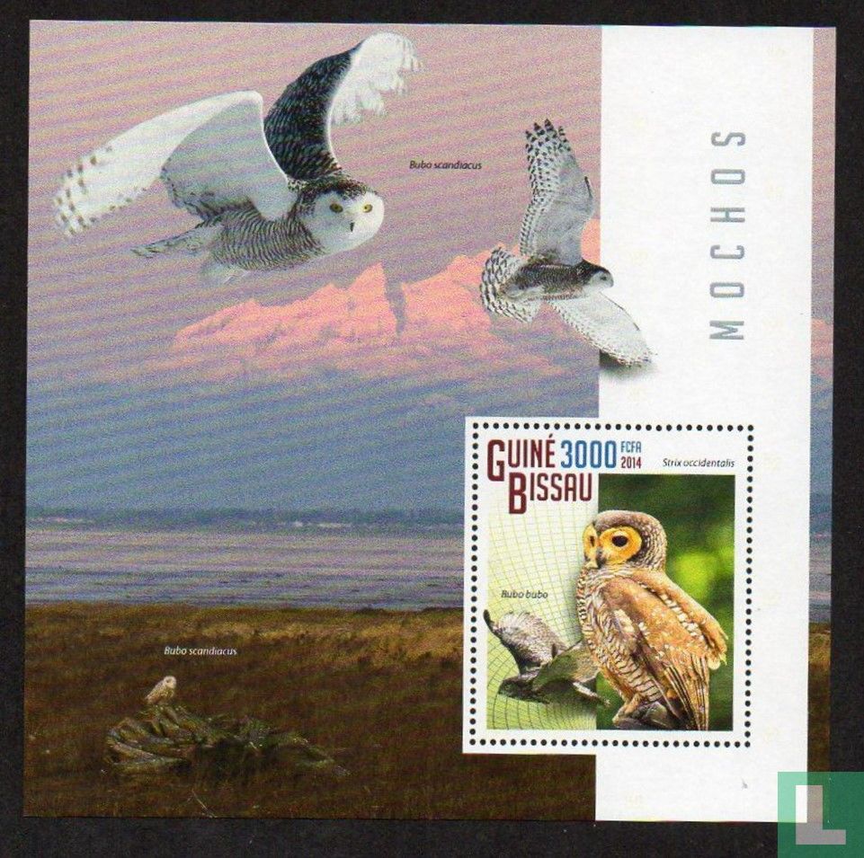 Owls 3000 (2014) GuineaBissau LastDodo