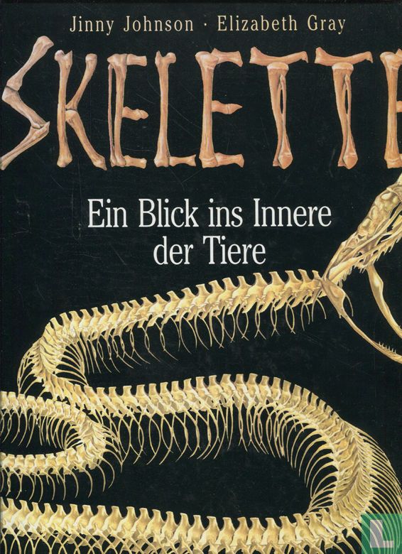Skelette