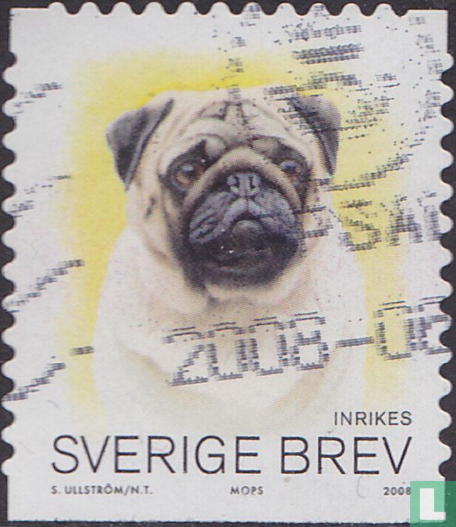 Hunde