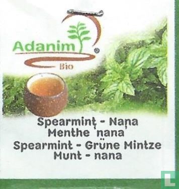 Spearmint - Nana