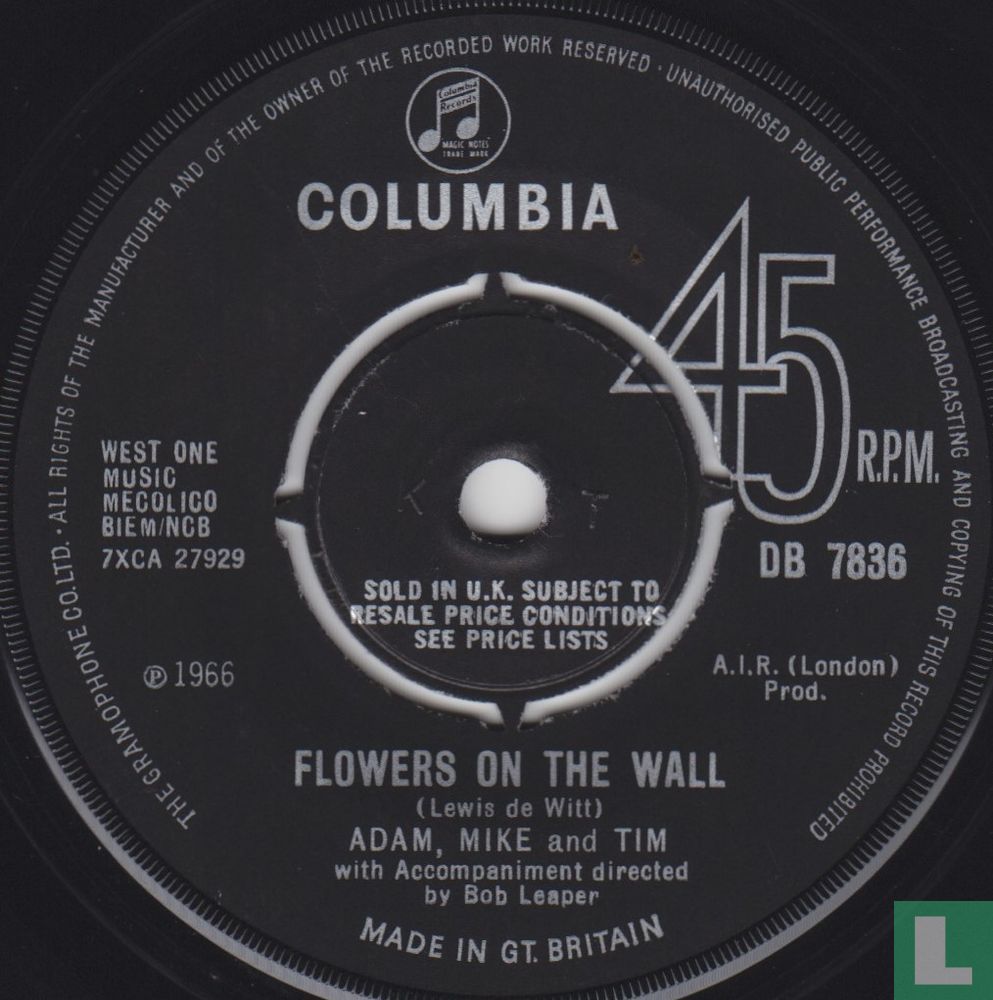 Flowers on the Wall