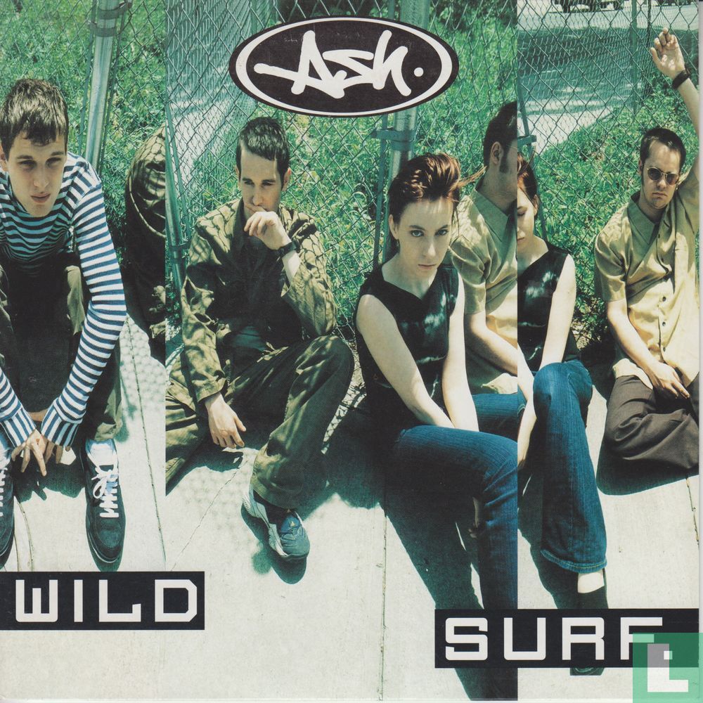 Wild Surf