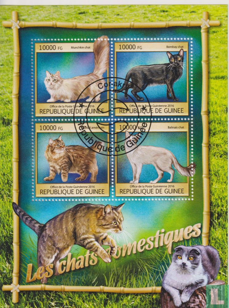 Katten