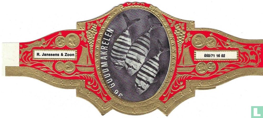 Goudmakrelen