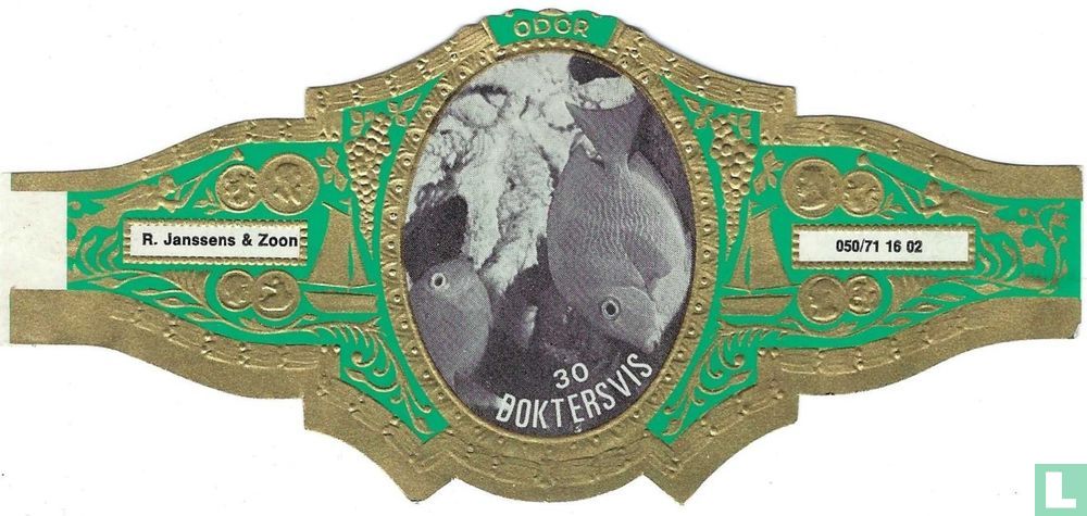 Doktersvis
