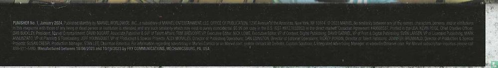 Punisher 1
