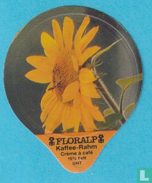 Sonnenblumen