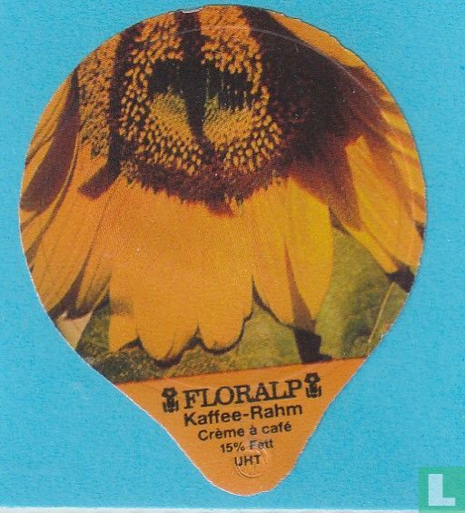Sonnenblumen