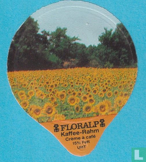 Sonnenblumen