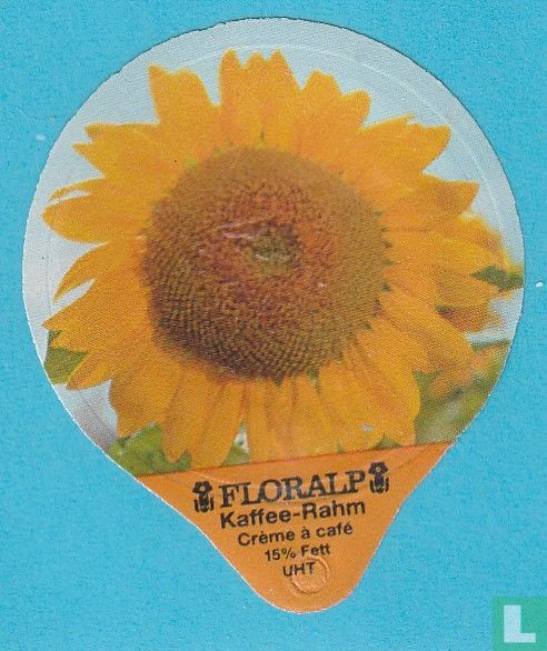 Sonnenblumen