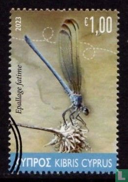 Dragonflies