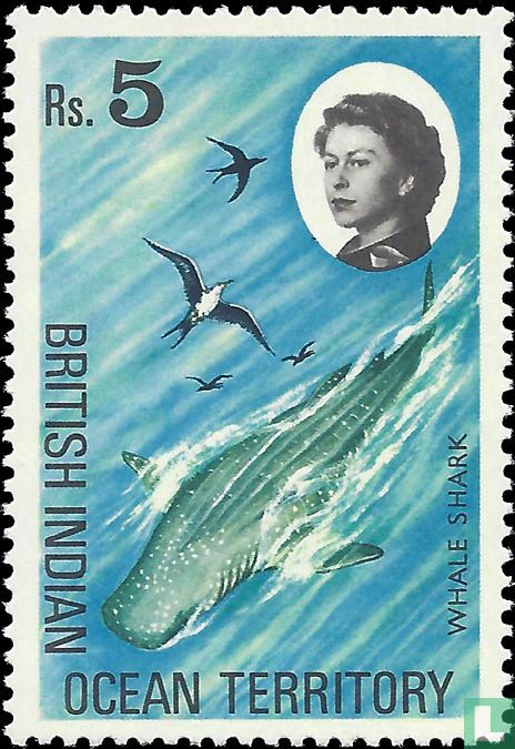 Requin-baleine