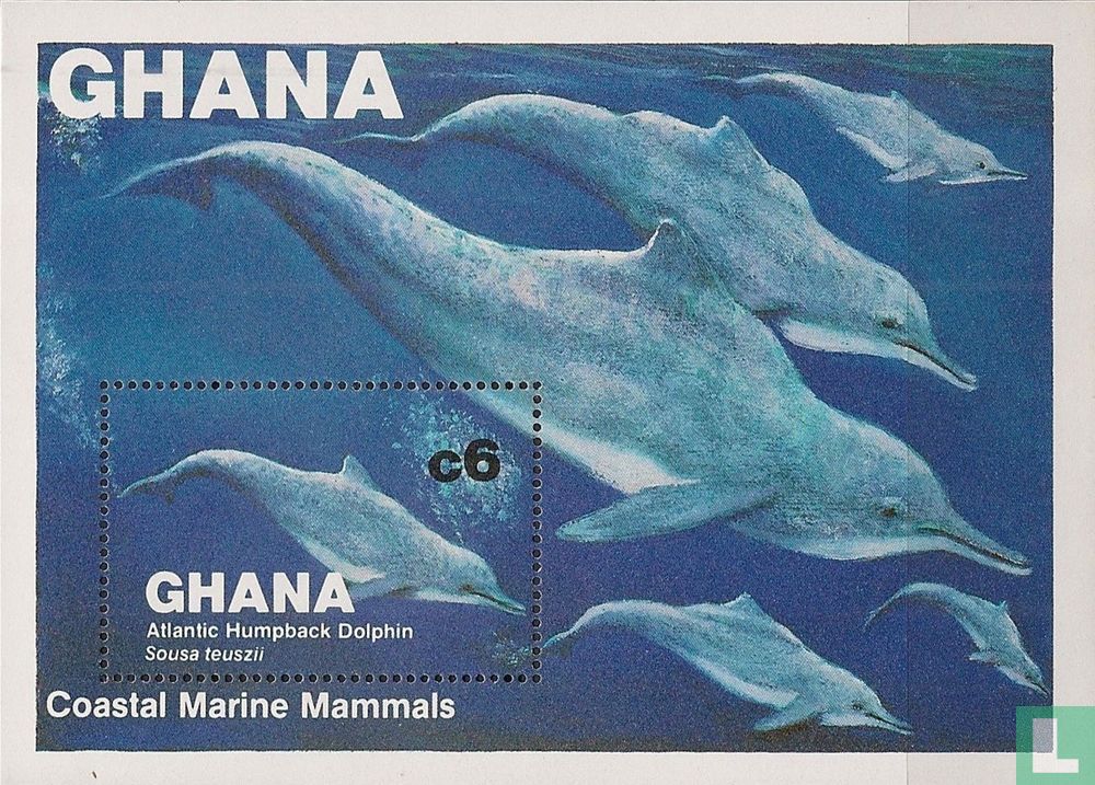 dauphins