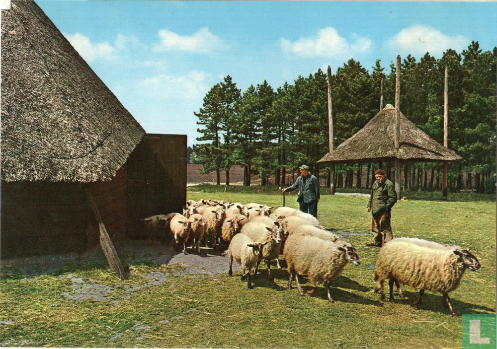 Epe Schaapskooi