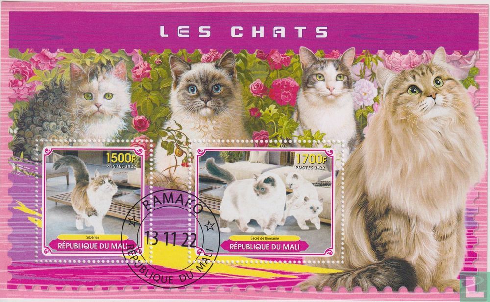 Cats