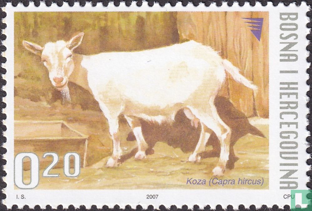 Chèvre