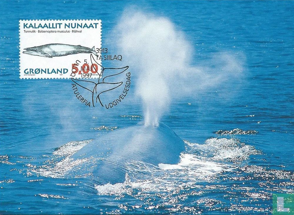 Baleines