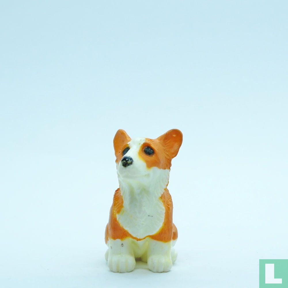 Queenie (Welsh Corgi)