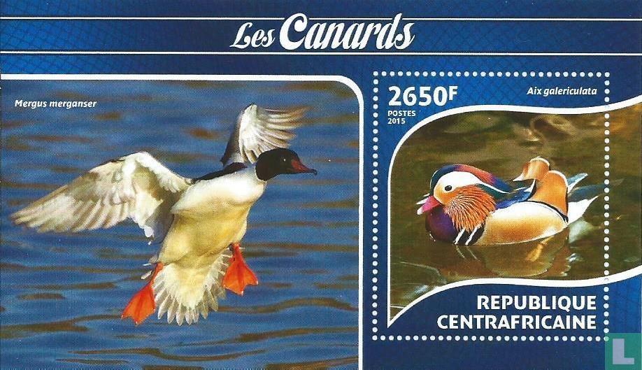 Canards