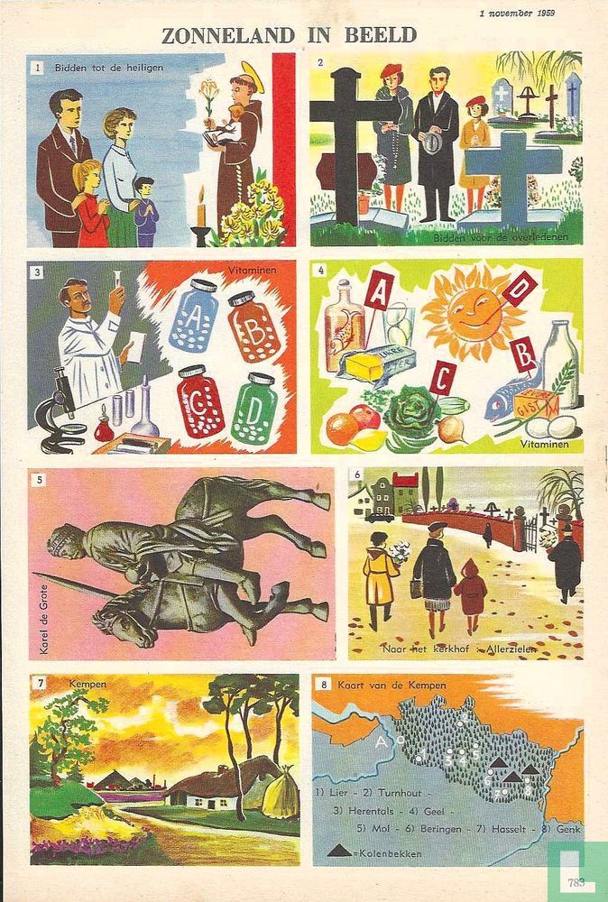Zonneland [BEL] 44