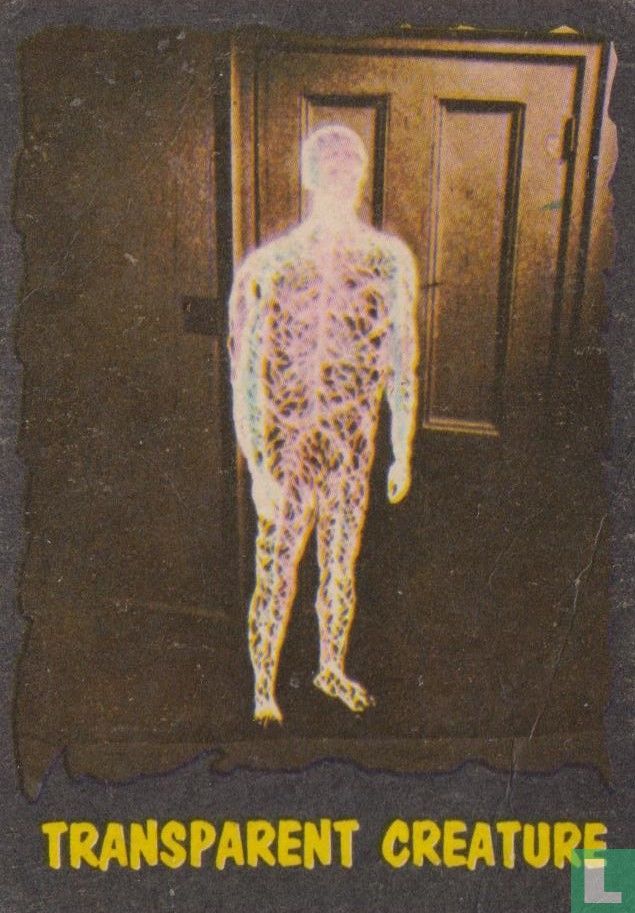 Transparent Creature