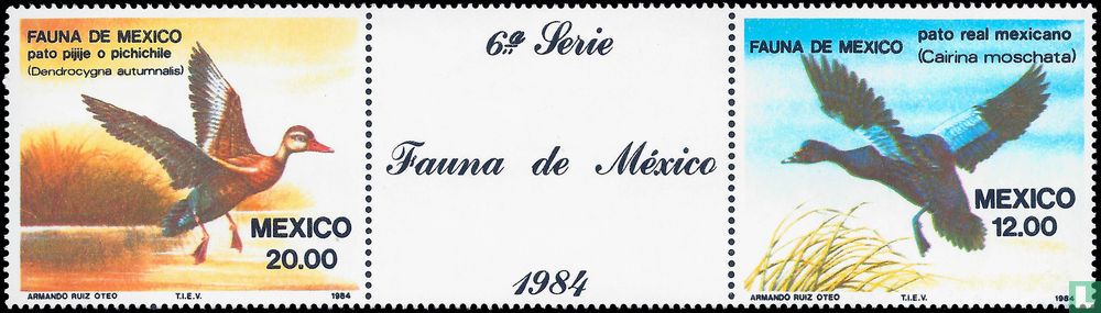 Mexican fauna