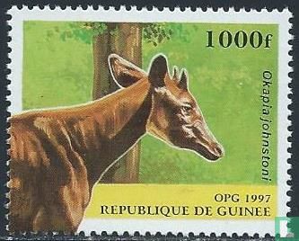 Native animals