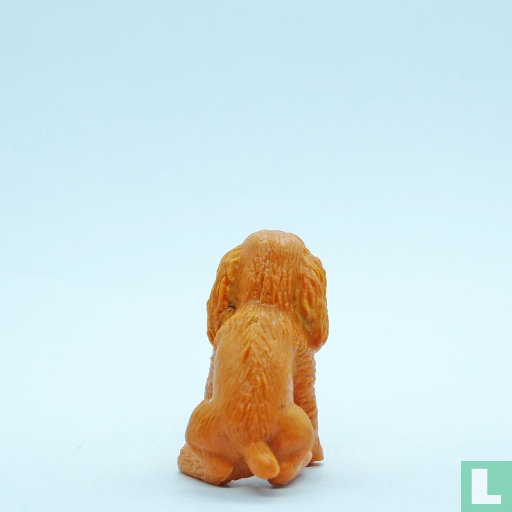 Penny (Cocker Spaniel)
