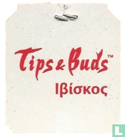 Tips & Buds Hibiscus