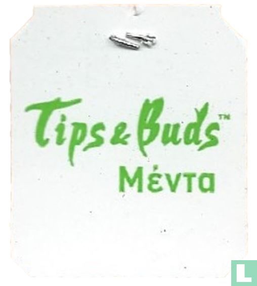 Tips & Buds Mint