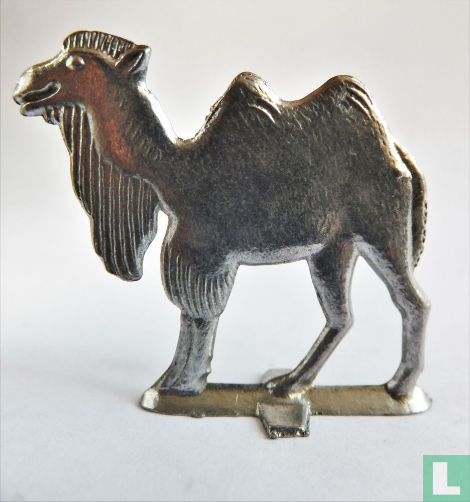 camel