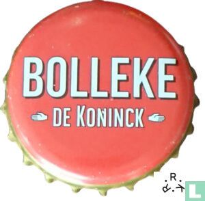 Bolleke