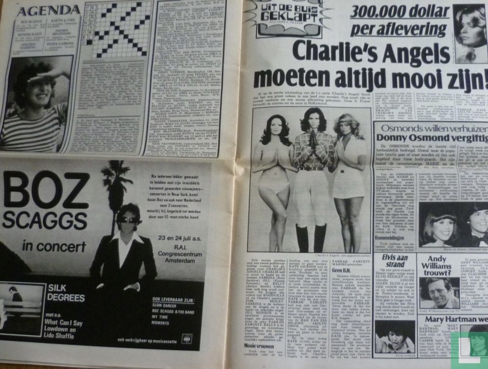 Hitkrant 29