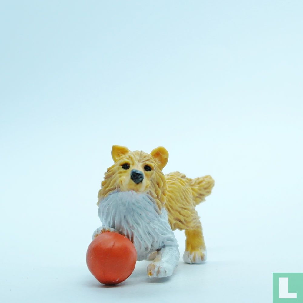 Lucky (Collie)