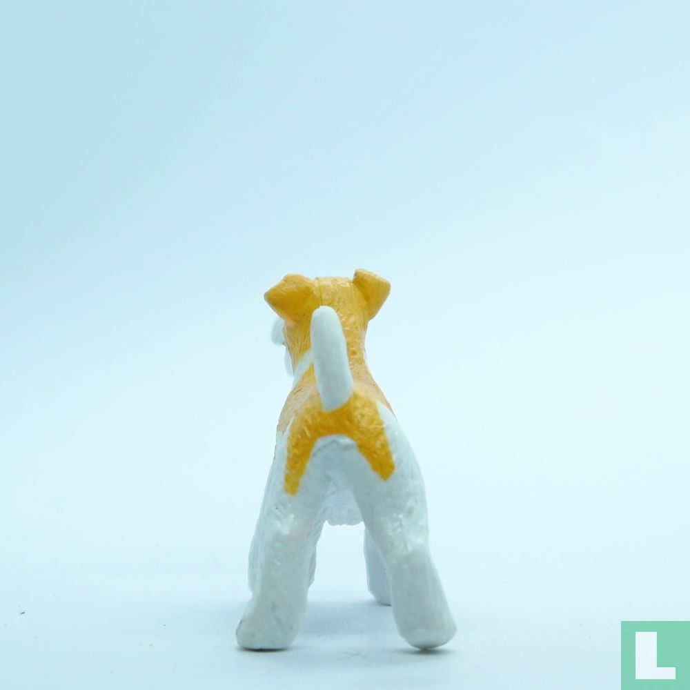Shera (Wire Haired Fox Terrier)