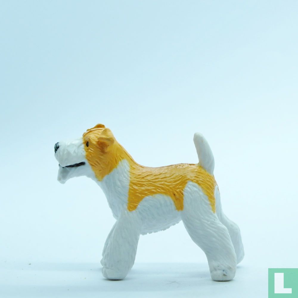 Shera (Wire Haired Fox Terrier)