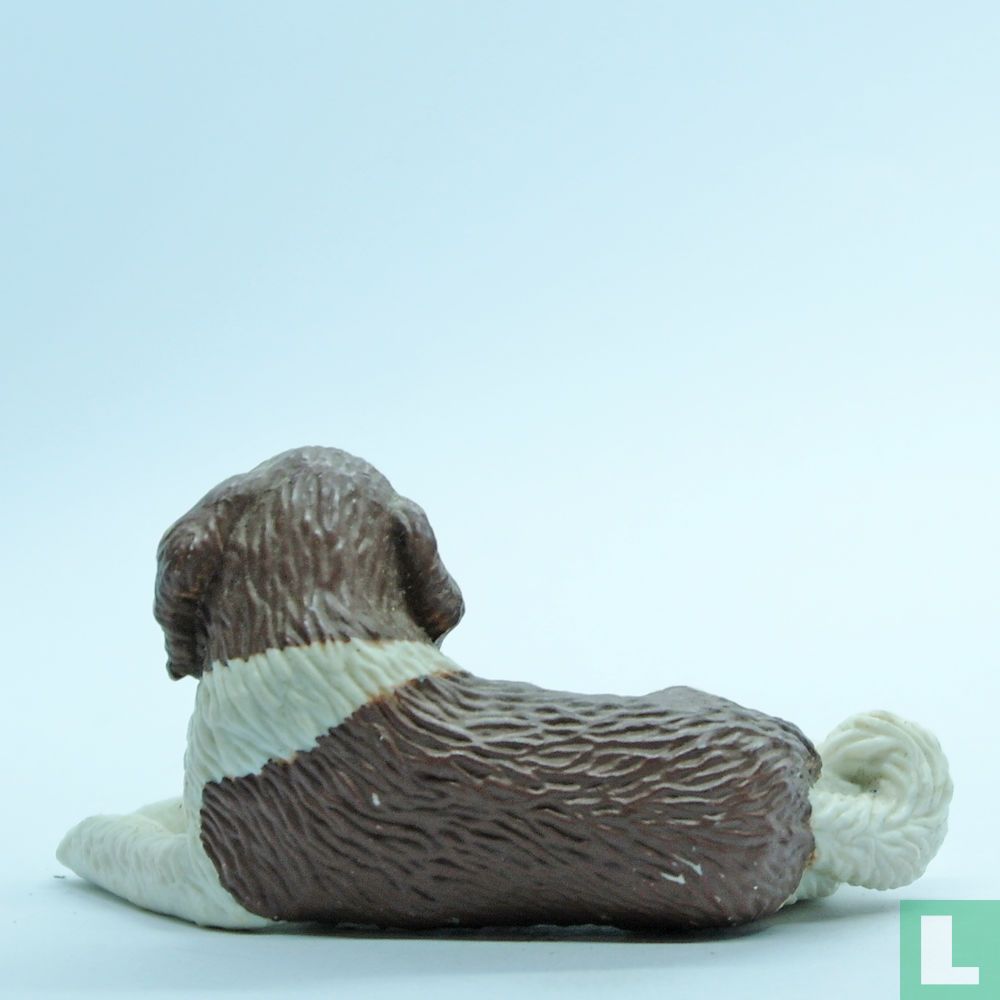 Suzie (St. Bernard)