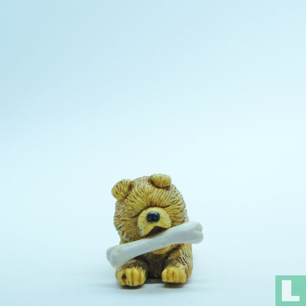 Kiki (Chow-Chow)