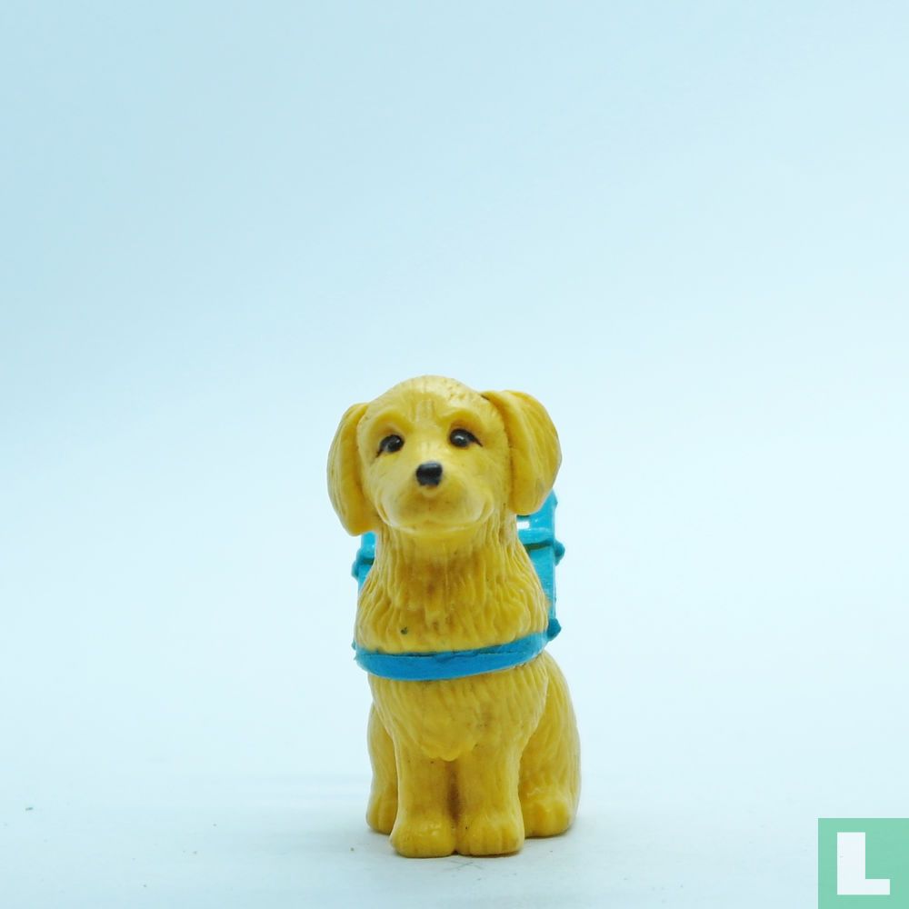 Jack (Labrador Retriever)