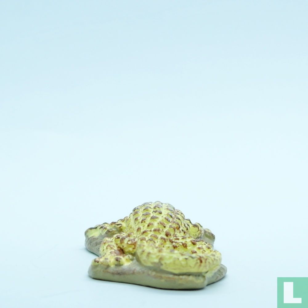 Gecko
