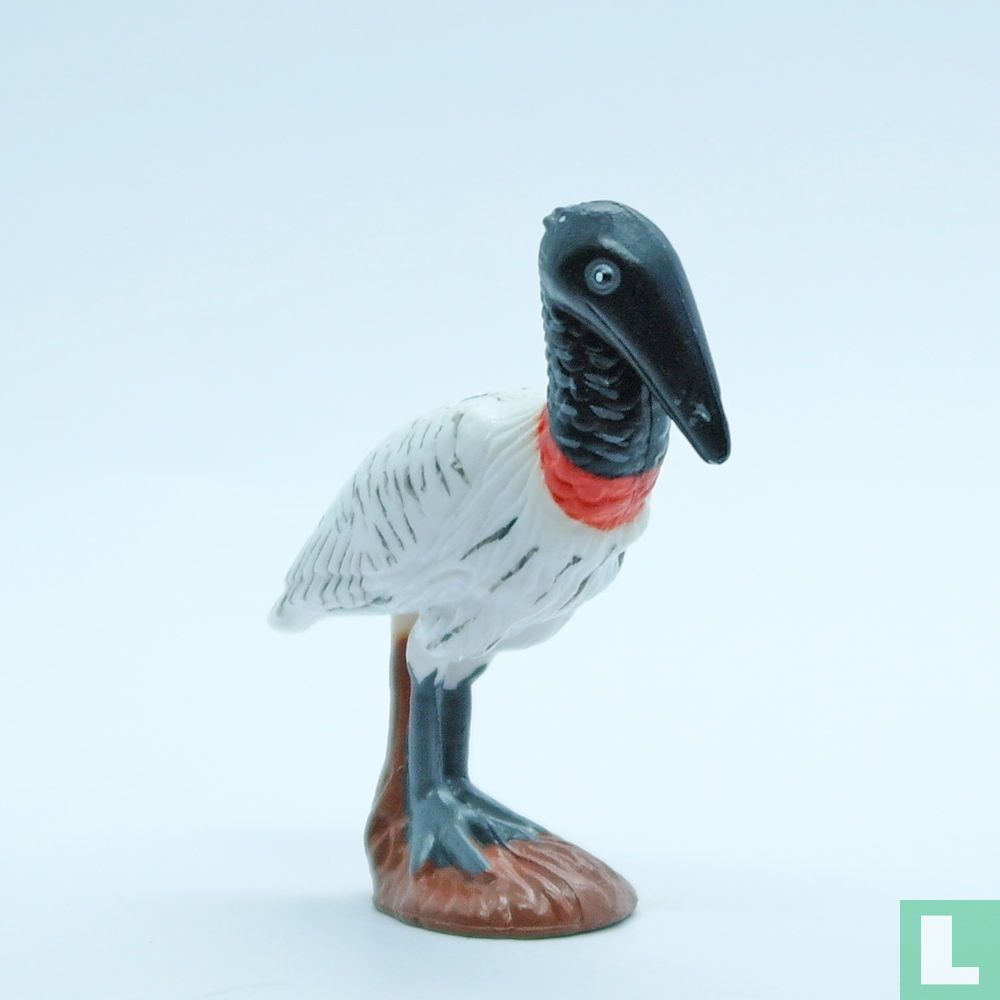 Jabiru