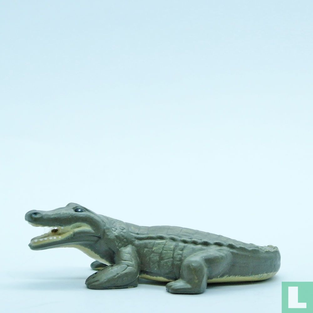 Salt Water Crocodile