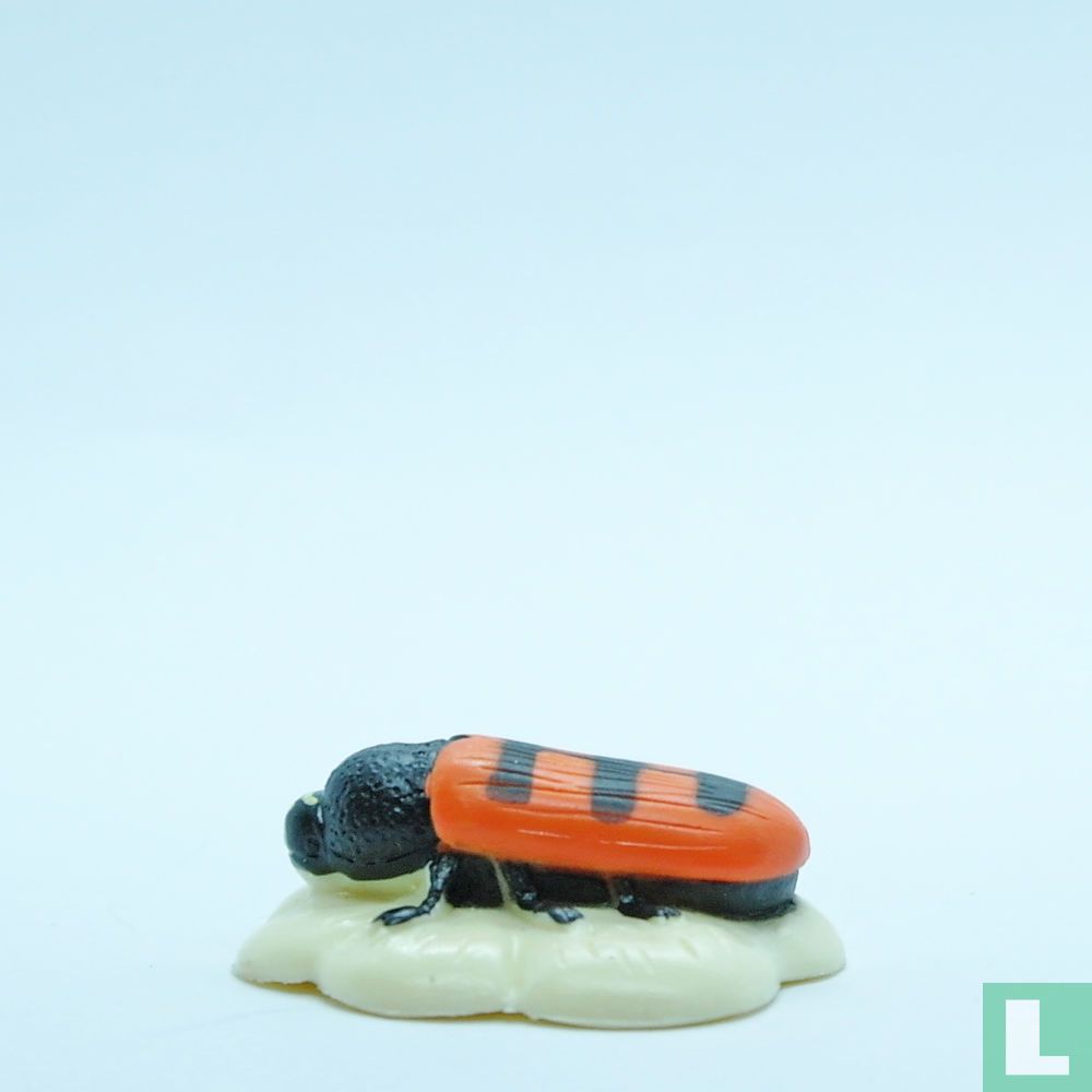 Jewel Shield Beetle
