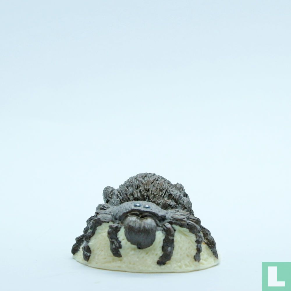 Trapdoor Spider