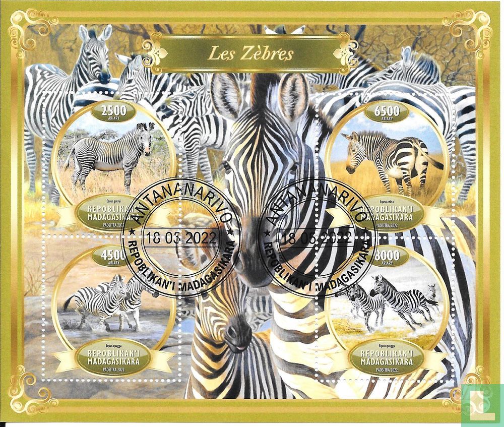 Zebra