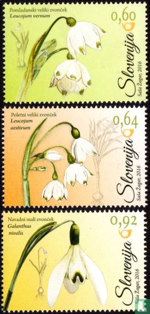 Jonquilles